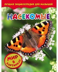 Насекомые. Мир в картинках