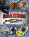 Обложка книги «Guide to the Dragons. Volume 2», ISBN 9781481419871