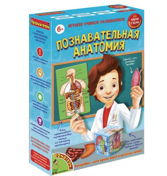 Обложка книги «Японские опыты Науки с Буки "Познавательная анатомия", арт. 196426»