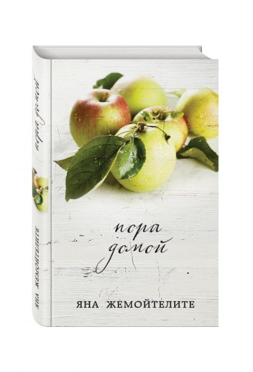 Пора домой