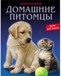 Домашние питомцы