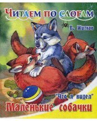 Что я видел. Маленькие собачки