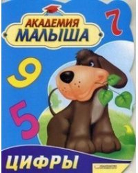 Академия малыша. Цифры