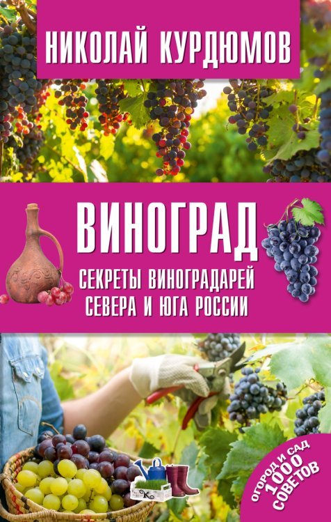 Обложка книги «Виноград. Секреты виноградарей севера и юга России» — Курдюмов Н.И., ISBN 9785171012731