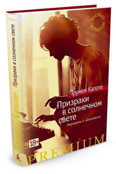 Обложка книги «Призраки в солнечном свете. Портреты и наблюдения»