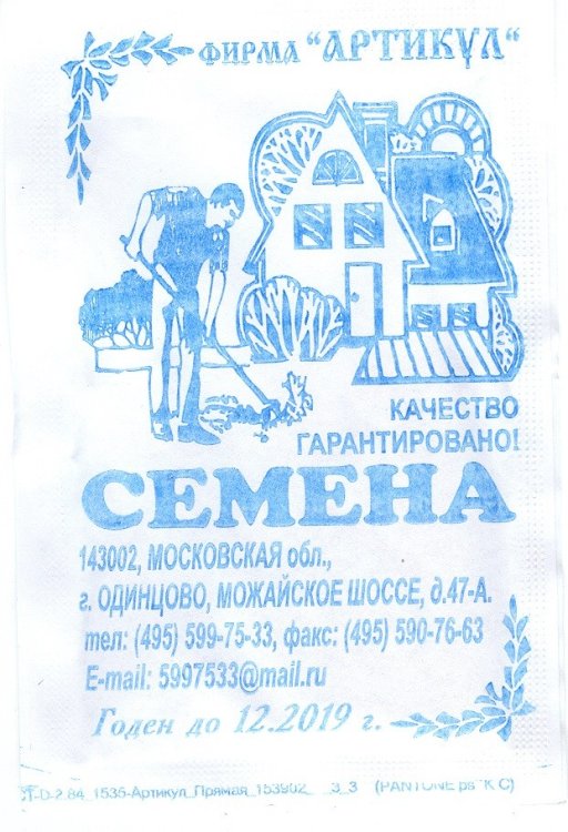 Семена. Патиссон "Солнышко", 10 штук