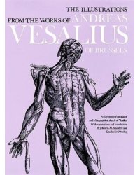 The Illustrations from the Works of Andreas Vesalius of Brussels