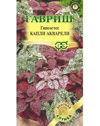 Семена. Гипоэстес "Капли акварели" (5 штук)
