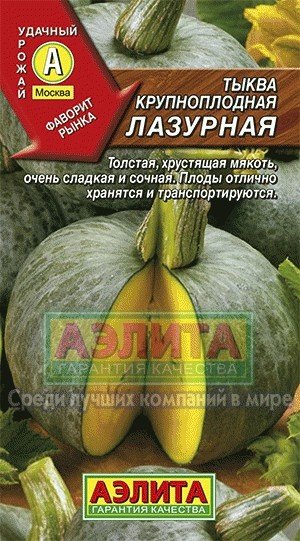 Семена. Тыква крупноплодная "Лазурная" (вес: 1 г)