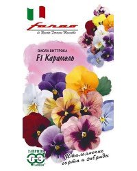 Семена. Виола Виттрока (Анютины глазки) "Карамель F1" (10 штук)