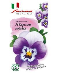 Семена. Виола Виттрока (Анютины глазки) "Карамель морская F1", 10 штук