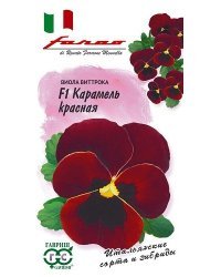 Семена. Виола Виттрока (Анютины глазки) "Карамель красная F1" (10 штук)