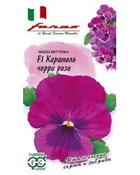 Семена. Виола Виттрока (Анютины глазки) "Карамель черри розе F1" (10 штук)