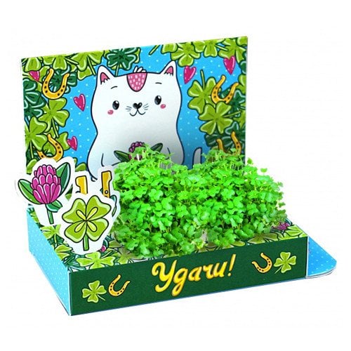 Подарочный набор для выращивания "Удачи!", 16x8x3 см