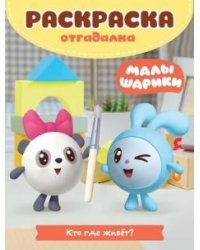 Малышарики. Кто где живет. № РО 1723. Раскраска-отгадалка