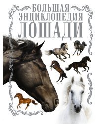 Лошади. Большая энциклопедия