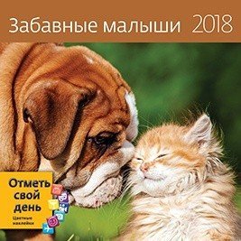 Обложка книги «Забавные малыши. Календарь-органайзер на скрепке на 2018 год», ISBN 9785919067740