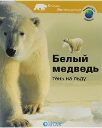 Белый медведь. Тень на льду