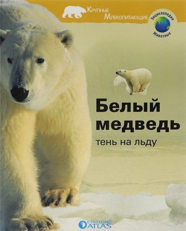 Обложка книги «Белый медведь. Тень на льду», ISBN 9785913160232