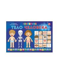 Викторина для малышей "Тело человека"
