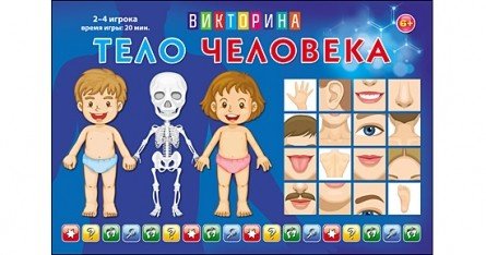 Викторина для малышей "Тело человека"