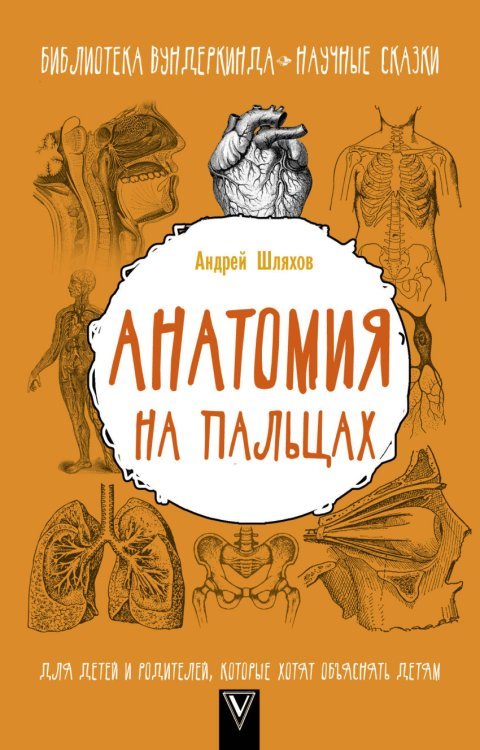 Обложка книги «Анатомия на пальцах» — Шляхов А.Л., ISBN 9785171028947