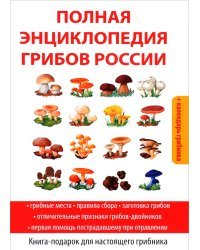 Полная энциклопедия грибов России + календарь грибника. Книга-подарок для настоящего грибника