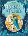 Illustrated Stories of Horses and Ponies
