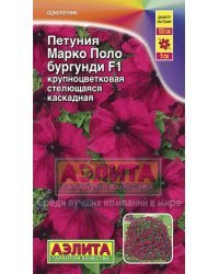 Семена. Петуния "Марко Поло F1", бургунди, однолетник (10 штук драже в пробирке)