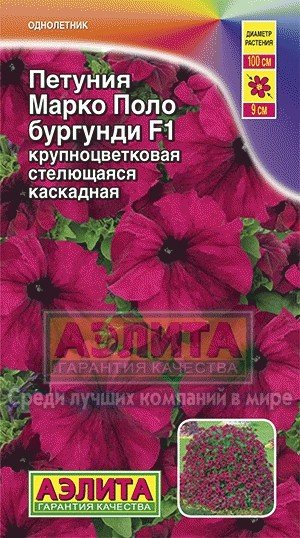 Семена. Петуния "Марко Поло F1", бургунди, однолетник (10 штук драже в пробирке)