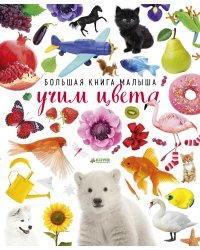 Большая книга малыша. Учим цвета