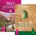 Магия трав от А до Я. Экошаманизм (количество томов: 2)