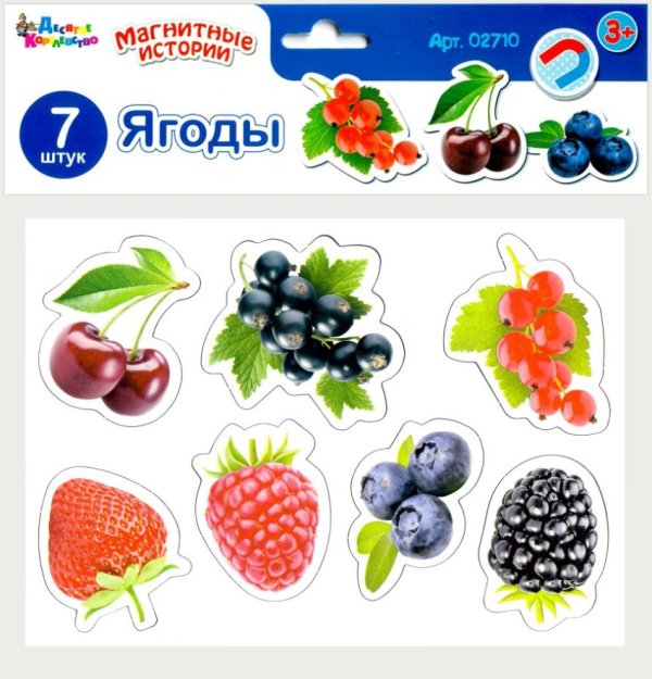 Обложка книги «Магниты "Магнитные истории. Ягоды"»