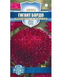 Семена. Астра игольчато-коготковая "Гигант бордо" (вес: 0,1 г)