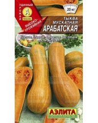 Семена. Тыква мускатная "Арабатская" (вес: 1 г)