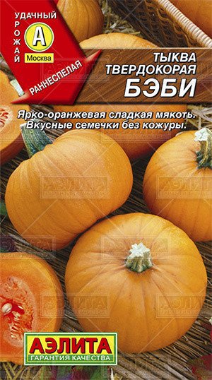 Семена. Тыква твердокорая "Бэби" (вес: 1 г)