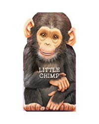 Little Chimp
