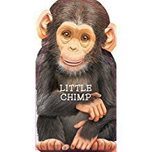 Little Chimp