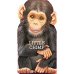 Little Chimp