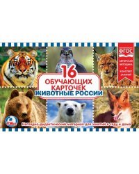 Карточки в папке "Животные России", 16 карточек