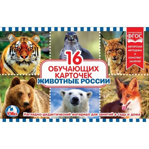 Обложка книги «Карточки в папке "Животные России", 16 карточек»
