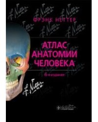 Атлас анатомии человека