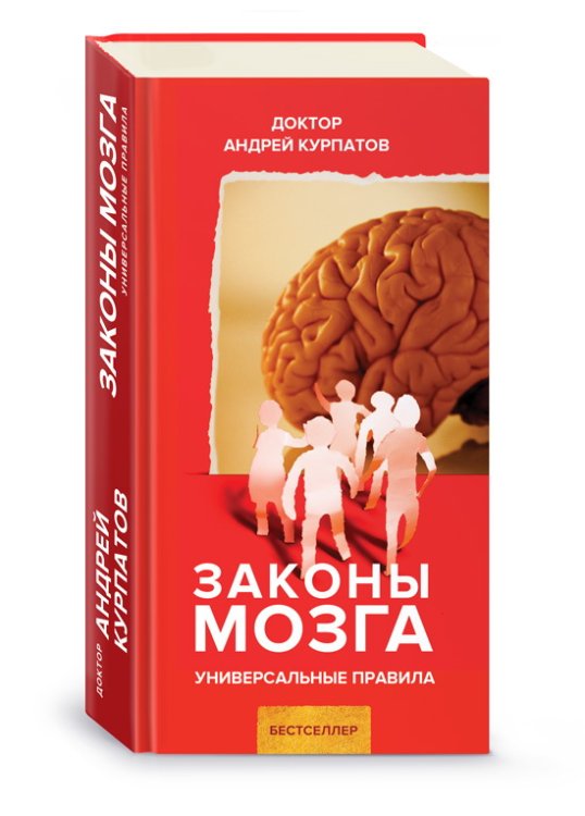 Законы мозга 