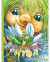 На краешке чуда