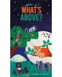 What's Above?