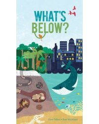 What's Below?
