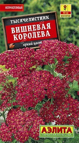 Семена. Тысячелистник "Вишневая королева" (вес: 0.1 г)