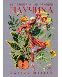 Паучиха