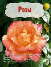 Вырубка. Цветы в саду и на окне (обложка) Розы