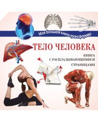 Тело человека
